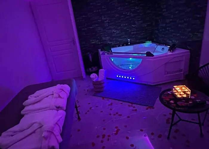 T3 5 Etoile Jacuzzi شقة تولوز